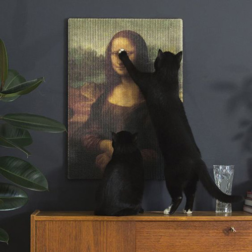 Griffoirs Pour Chat Design Les 9 Plus Belles Inspirations