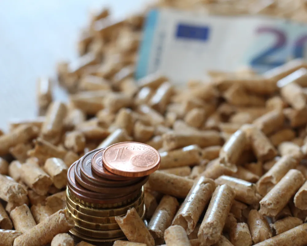 Tarif entretien d'un poêle à granulés : quel prix prévoir ?