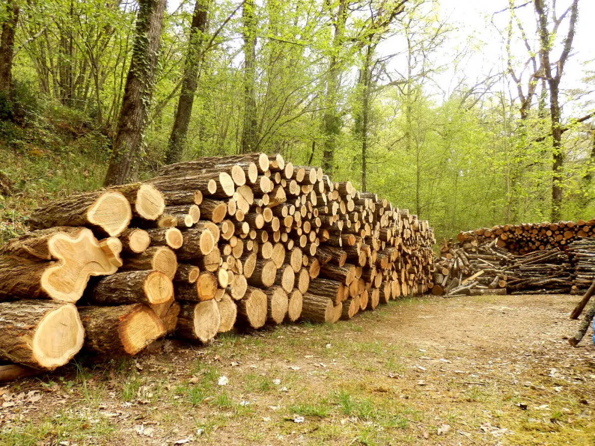 Bois de chauffage : combien de stères prévoir pour un hiver ?