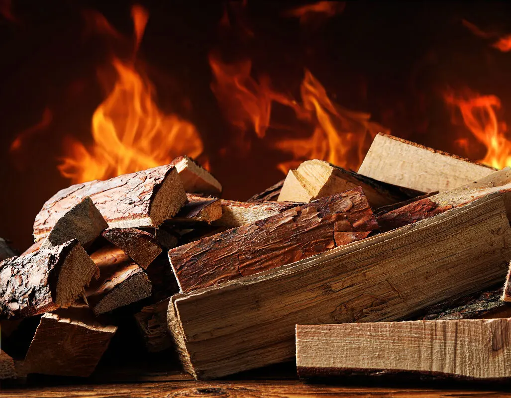 Quel est le prix d'un stère de bois de chêne en bûches de 50 cm ?