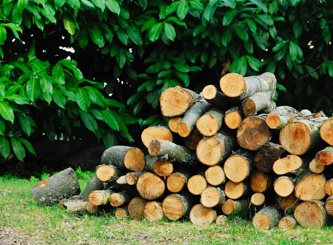 Prix d'un stère de bois en 30 cm : les coûts détaillés