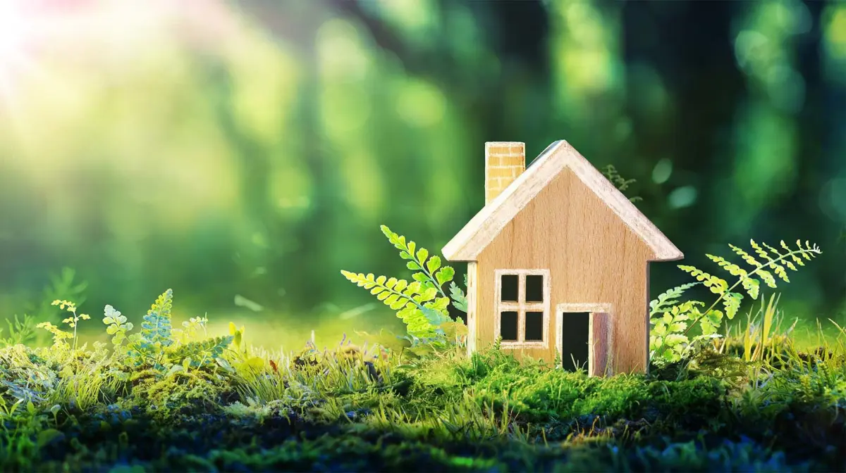 Maison écologique : 5 points clés pour bien éco-construire