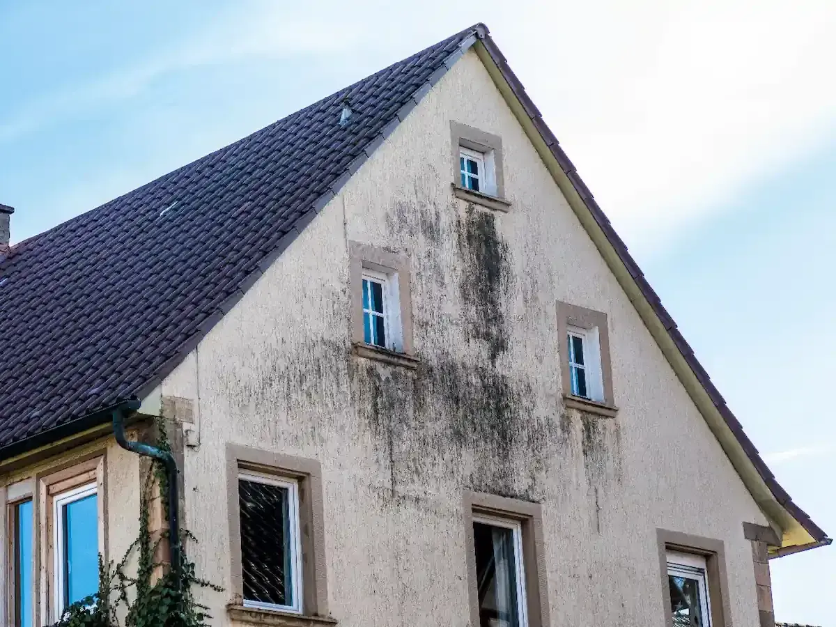Mur extérieur abîmé : causes & solutions pour bien le rénover