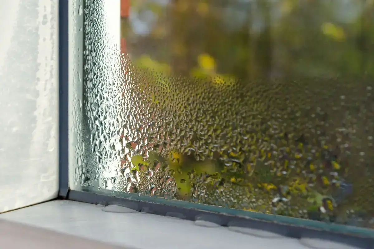 Condensation aux fenêtres 💧 : causes, conséquences & 13 solutions pour en finir