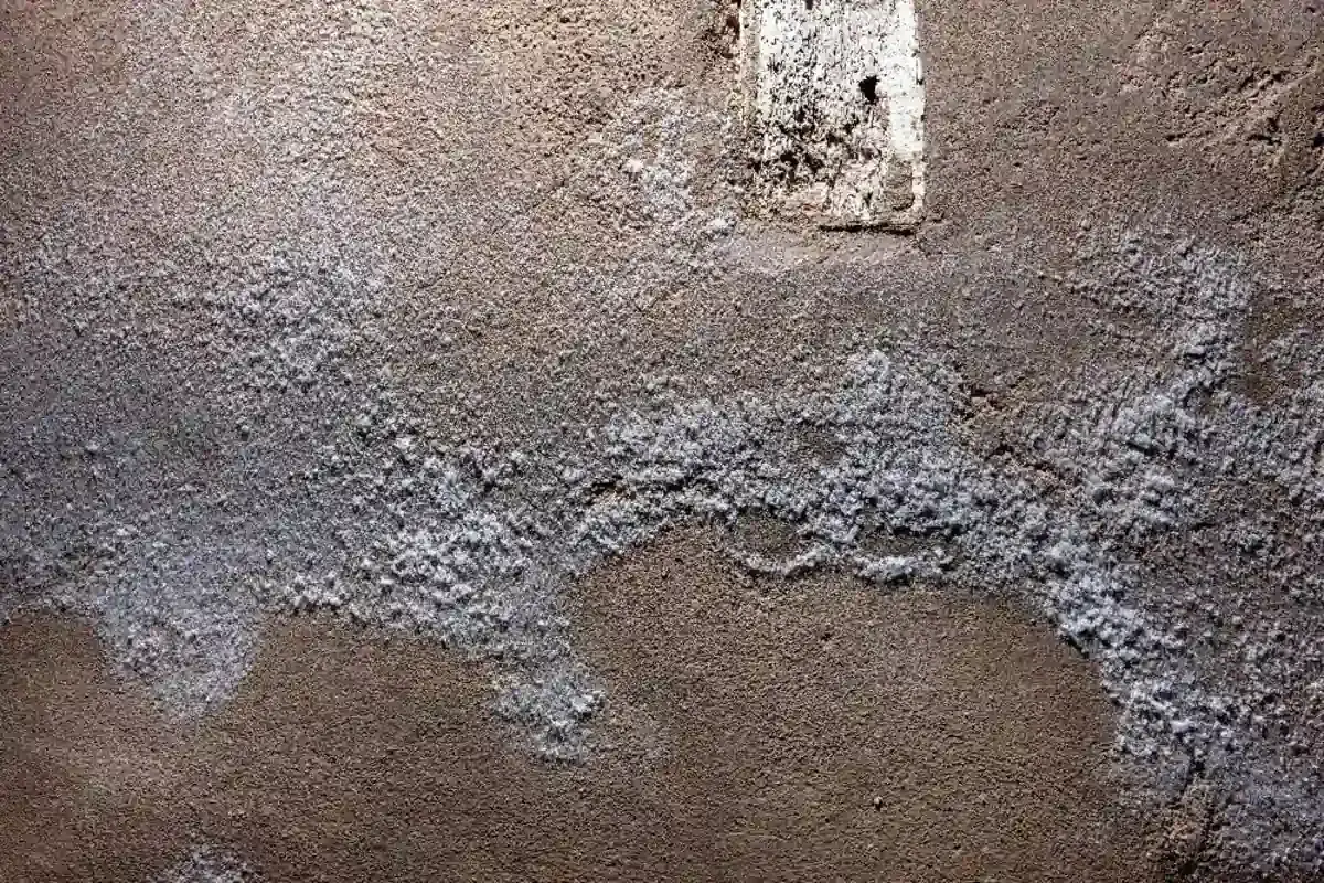 Salpêtre dans une cave : causes, danger et traitement efficace