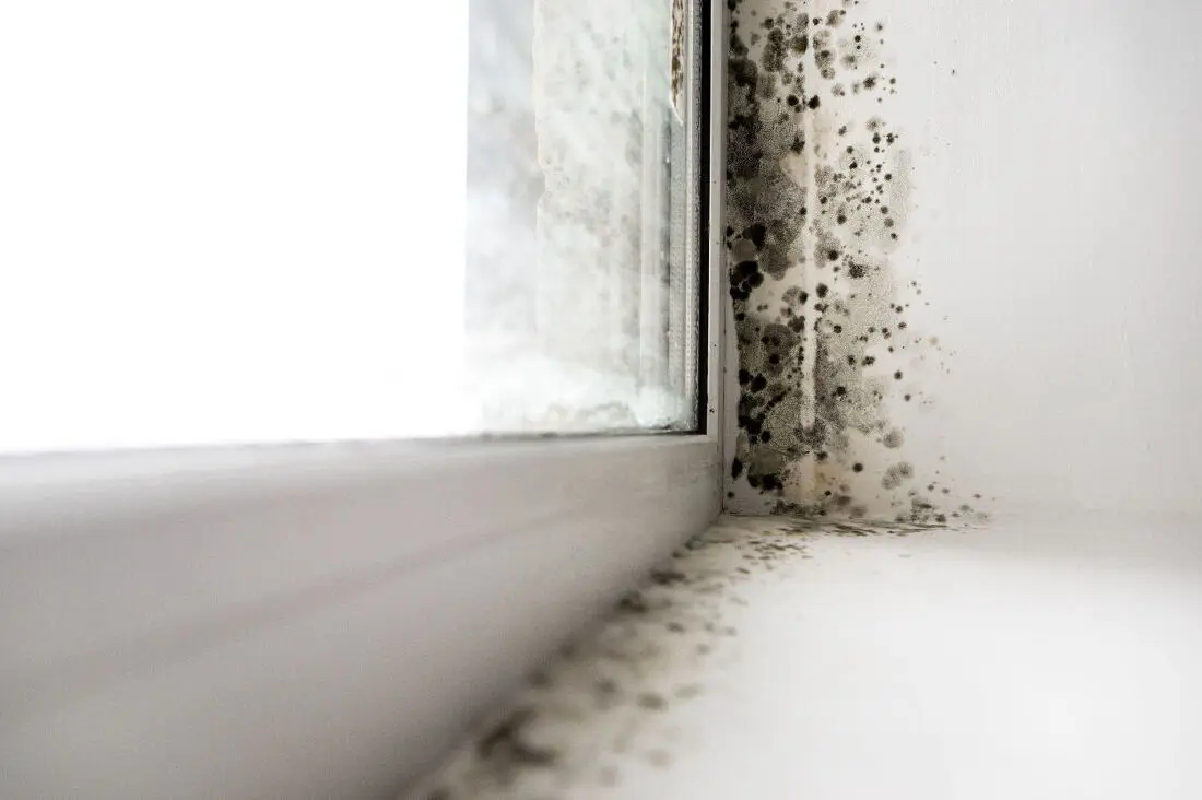 💧 Problèmes d’humidité à la maison : dites adieu aux moisissures et à l’air vicié