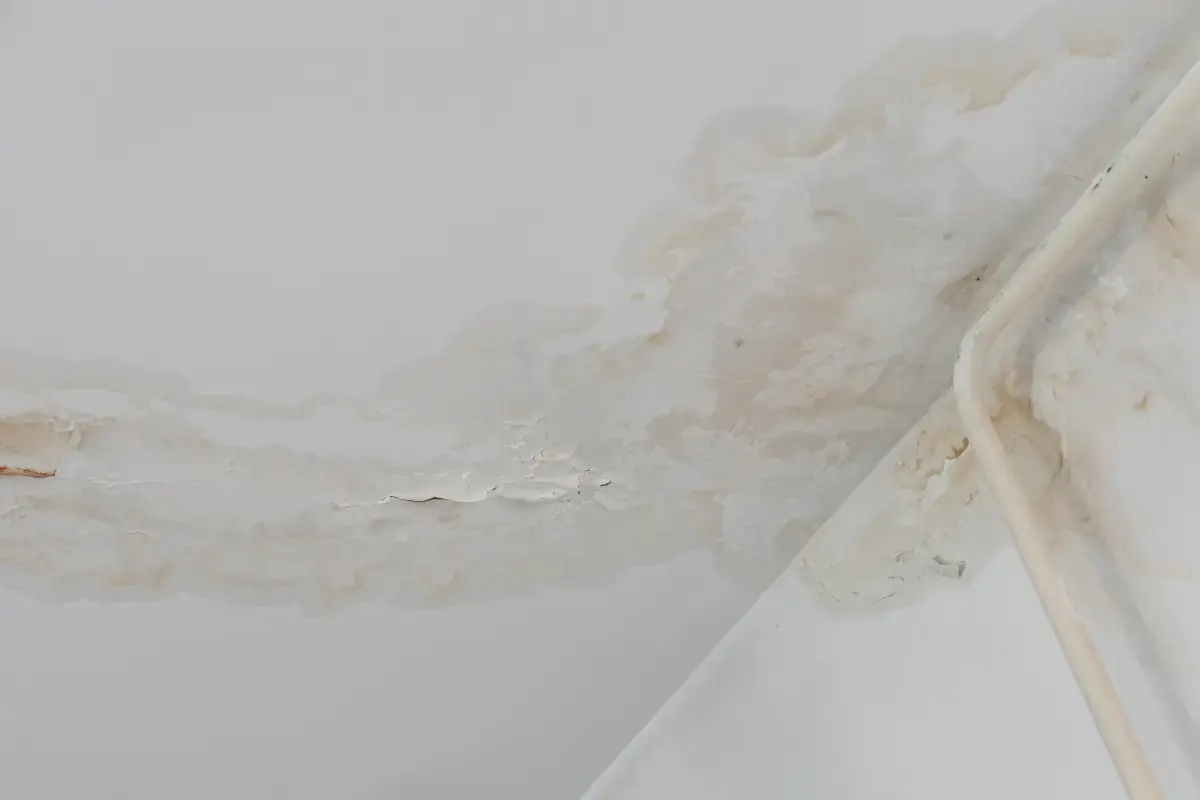 Condensation plafond : causes & solutions pour stopper l'humidité