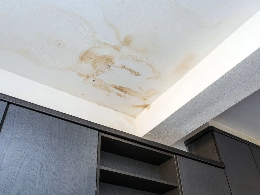 Taches d’humidité au plafond : causes & solutions efficaces