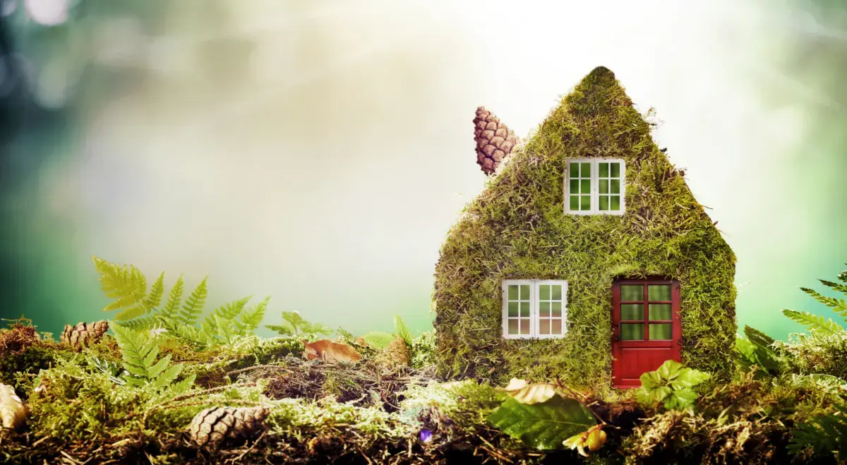 Isolation écologique : où fait-elle vraiment la différence dans votre maison ?