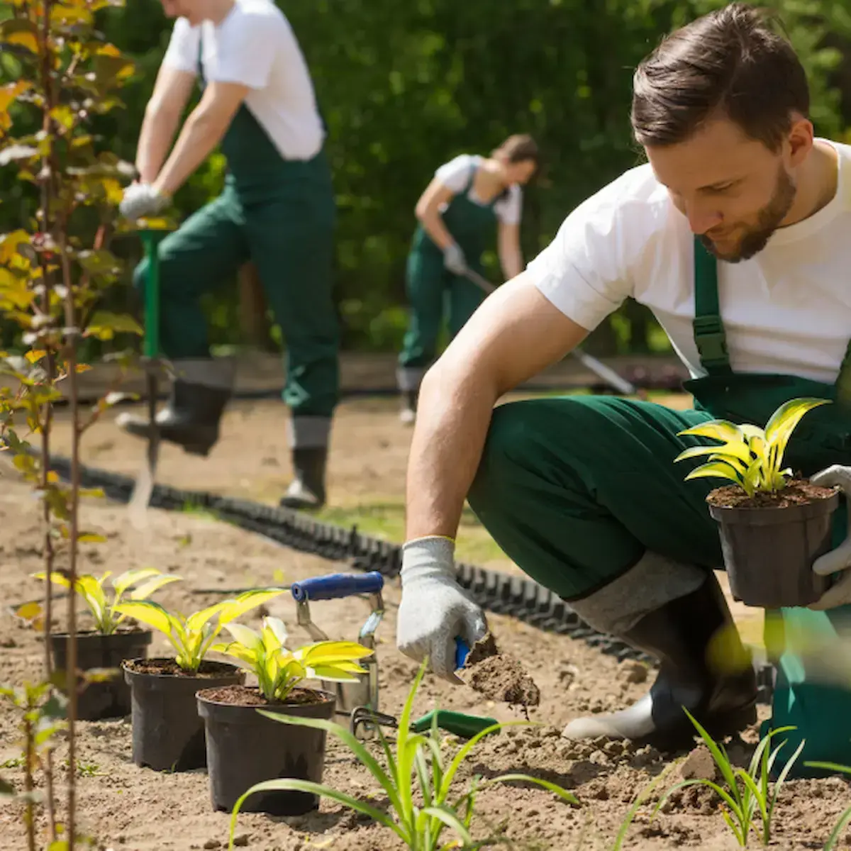 Tarifs paysagiste : quels prix pour quelles prestations ?