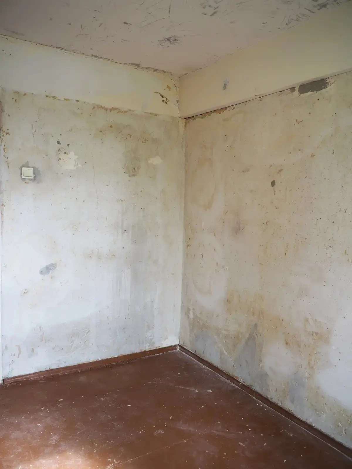 Mur qui s'effrite : 5 causes et solutions