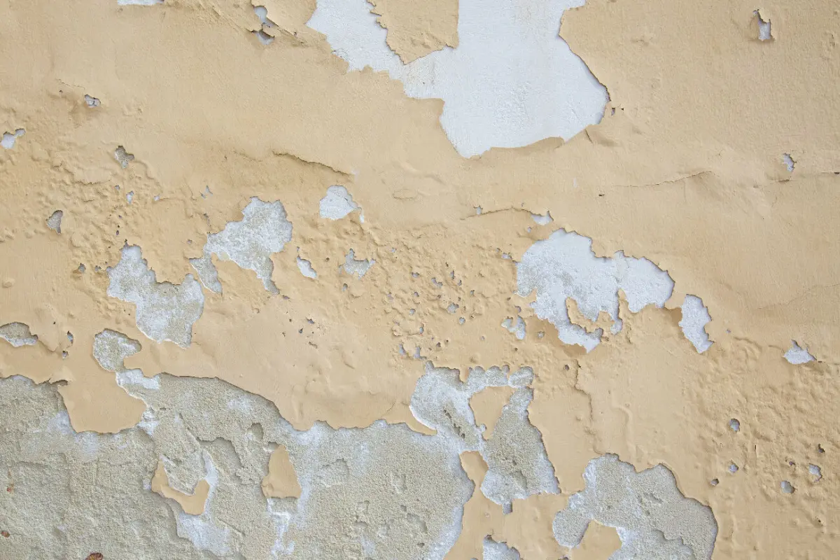 Pourquoi ma peinture se décolle & que faire pour éviter cela ?