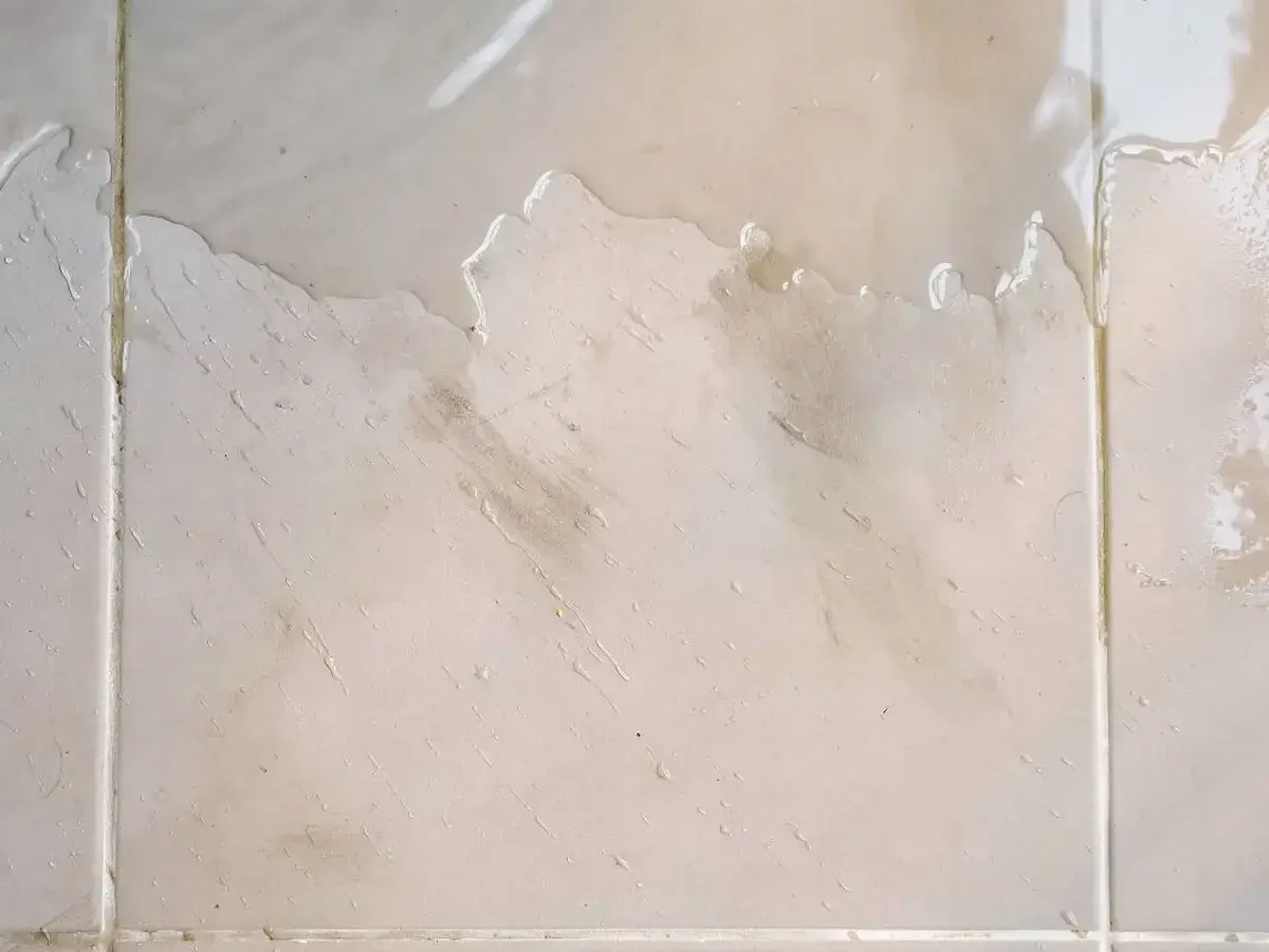 Que faire quand l'humidité remonte par les joints de carrelage ?