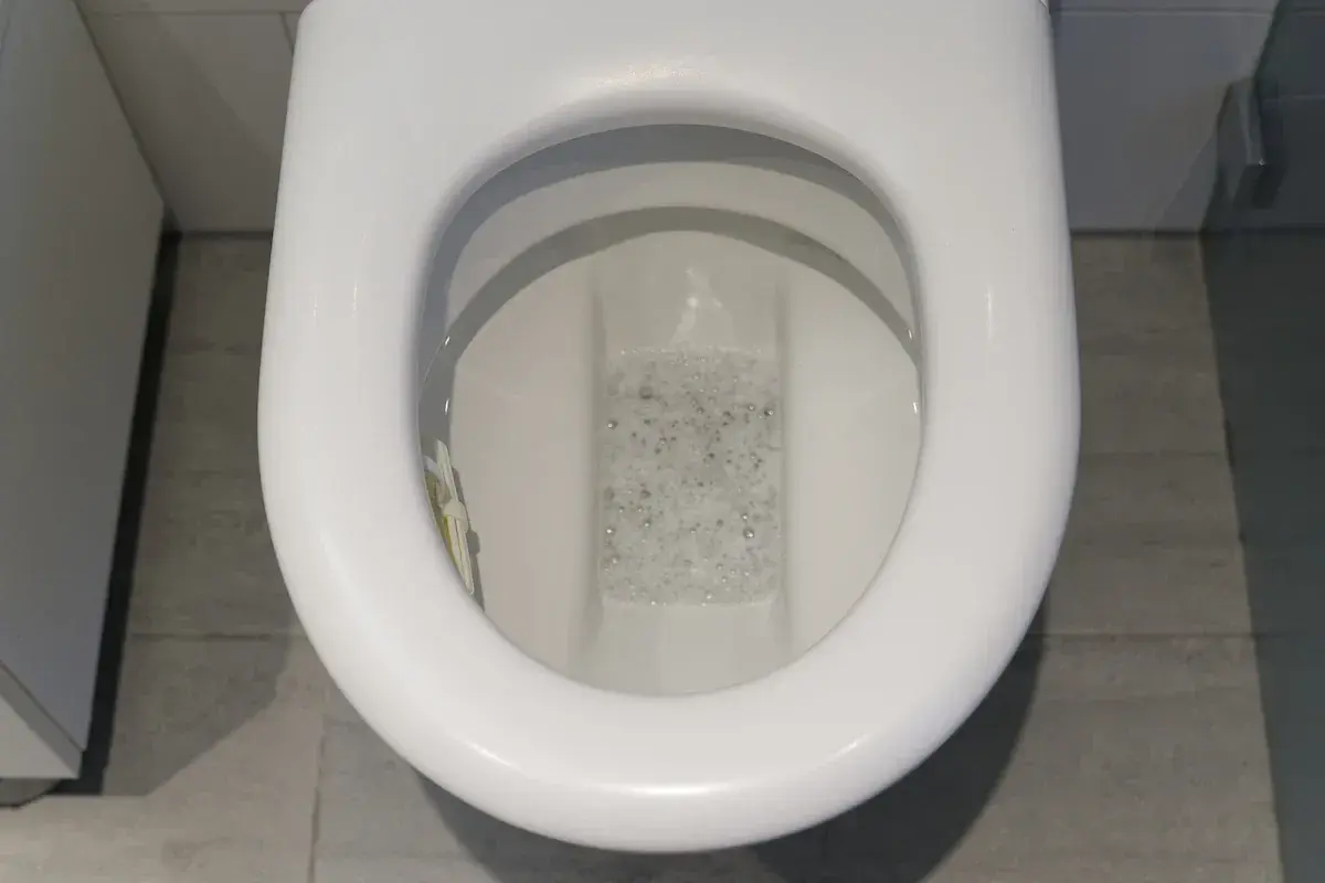 Récupérer les eaux grises pour les WC en recyclant l'eau de la douche