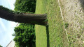 logo entreprise Les jardins zen
