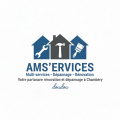 logo entreprise ams'ervices