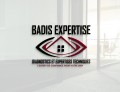 logo entreprise BADIS EXPERTISE