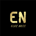 logo entreprise ELEC NESS